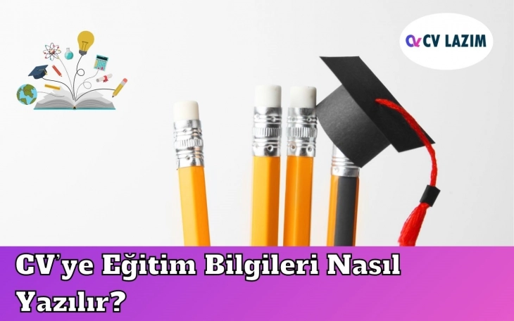 15 Maddede CV’ye Eğitim Bilgileri Nasıl Yazılır?